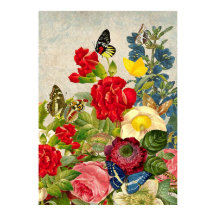Flores Vintage e borboletas Valor Poster Paper