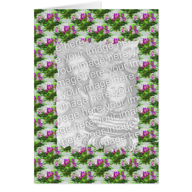 Flores Violetas bonito Enquadram seu Cartão com fo (Frente)