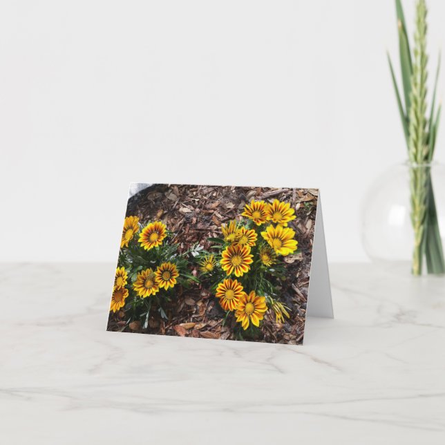 Flores vivas amarelas Gazania num cartão de nota d (Frente)