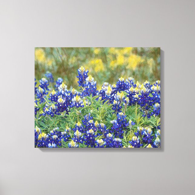 Flores Wild Texas Bluebonnet Canvas (Frente)