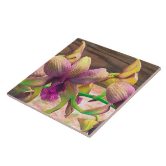 Florescência das orquídeas