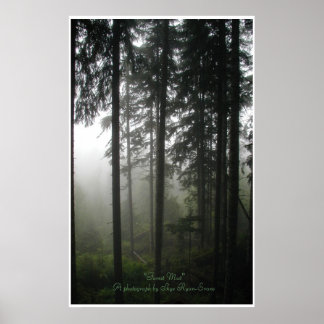 "FLOREST MIST" Wilderness Forest Foto Impressão