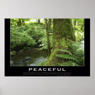 FLOREST STREAM Nature Photo Poster