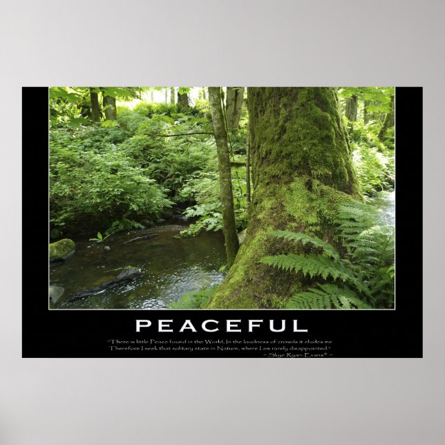 FLOREST STREAM Nature Photo Poster (Frente)