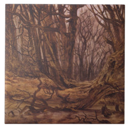 Floresta Alemã na Fall Season