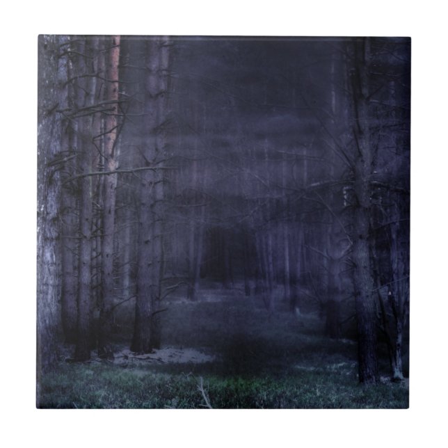 Floresta Assustadora (Frente)