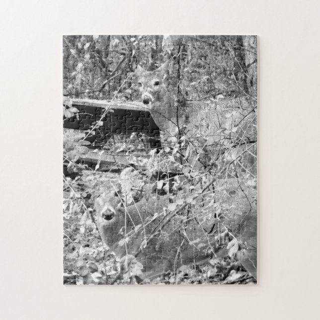 Floresta com Quebra-cabeça de cervo branco (Vertical)