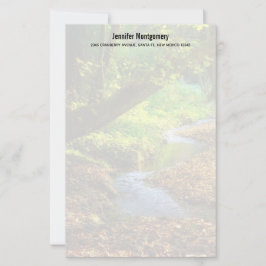 Floresta Creek Belo Paisagem Natural