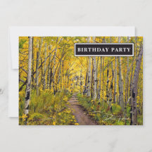 Floresta de Árvores Aspen no Outono