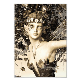 Floresta de Fadas da Primavera Foto Vintage Arte F