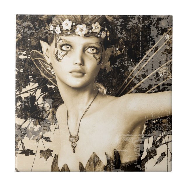 Floresta de Fadas da Primavera Foto Vintage Arte F (Frente)