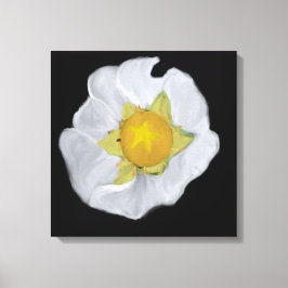 Floresta de Morango com Canvas Esticada