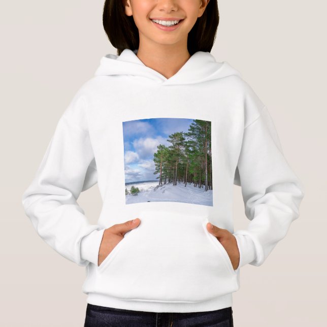 Floresta de pinheiros perto da costa marítima da L (Frente)