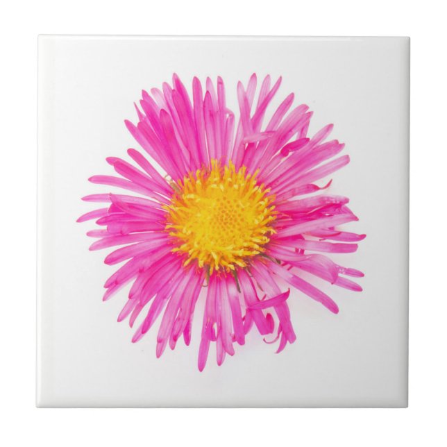 FLORESTA DE TINTA DE solteiro giro original (Frente)