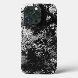 Floresta Deixa Padrões de folhagem Natureza Preto 