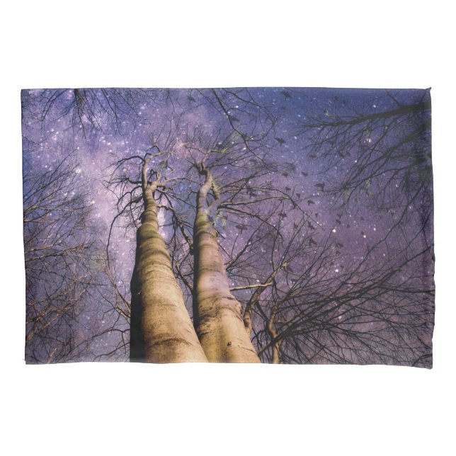 Floresta Encantada (Frente)