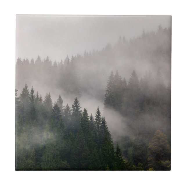 Floresta enevoada nas montanhas (Frente)