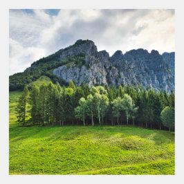 Floresta montanhosa com pinheiros no norte da Itál