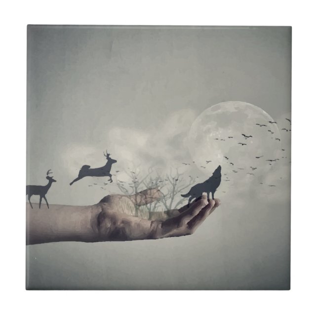 Floresta Mystical (Frente)