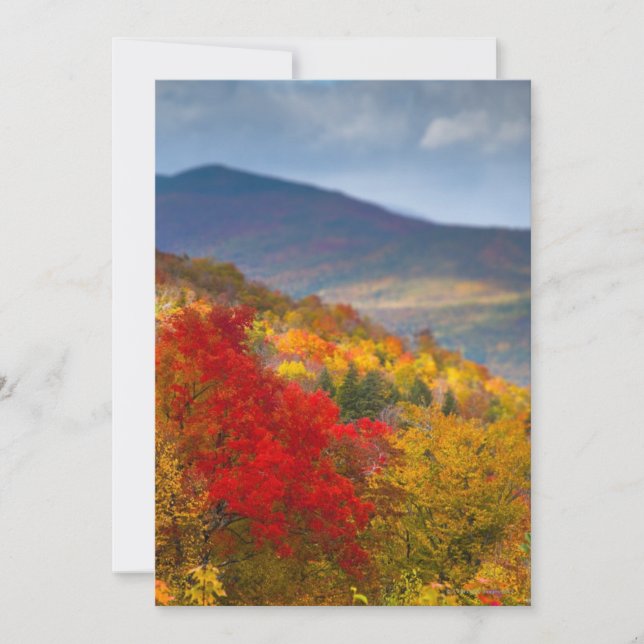 Floresta Nacional das Montanhas Brancas (Frente)