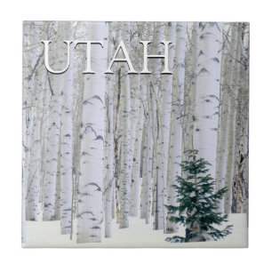 Floresta Nacional Manti-LaSal, Utah