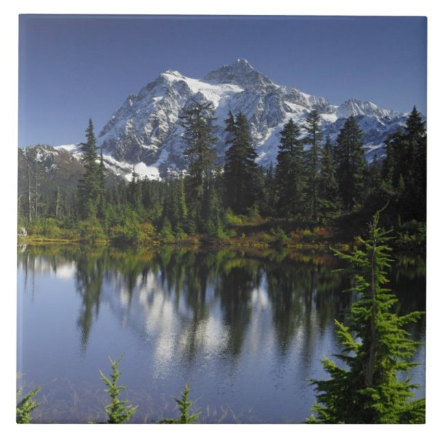 Floresta Nacional Mount Baker-Snoqualmie (Frente)