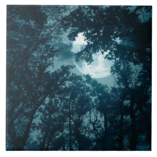 Floresta Noturna Encantadora com Lua Cheia