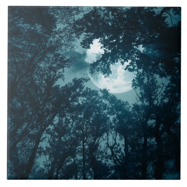 Floresta Noturna Encantadora com Lua Cheia (Frente)