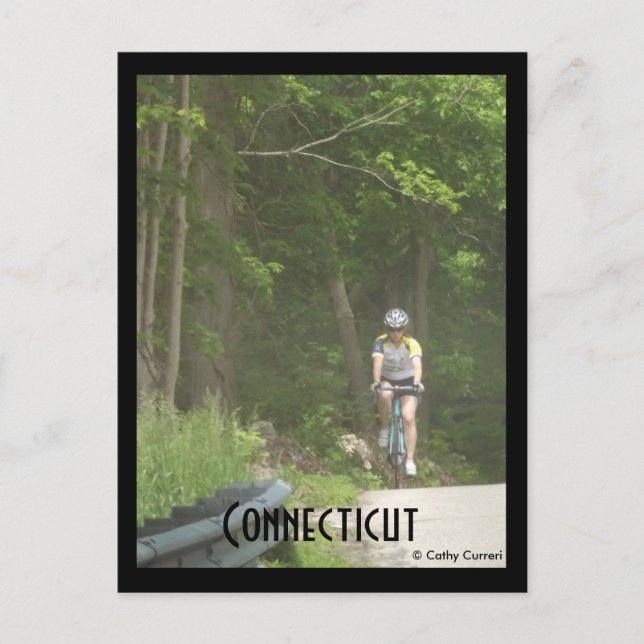 Floresta Pachaug, Ct. Cartão Postal (Frente)