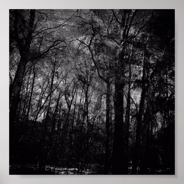 FLORESTA PRETA NO POSTER (Frente)