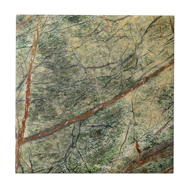 Floresta Selva (Frente)