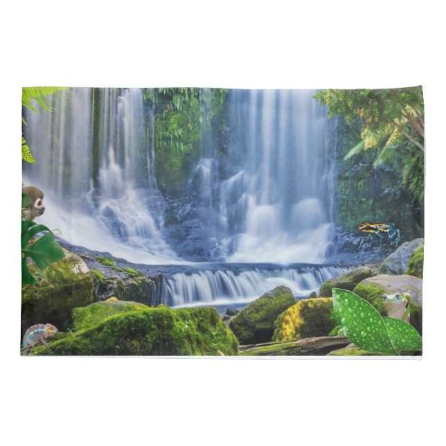 Floresta tropical e animais incríveis (Verso)