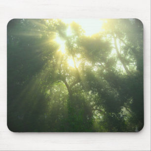 Floresta Verde Profunda - Mousepad