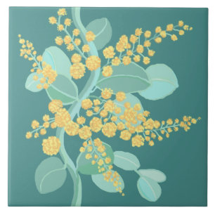 Florestas australianas de Silver Wattle