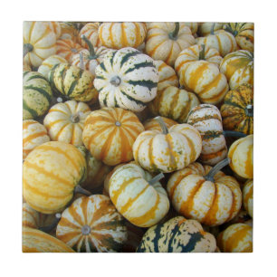 Florestas de Colheita Laranja e Verde