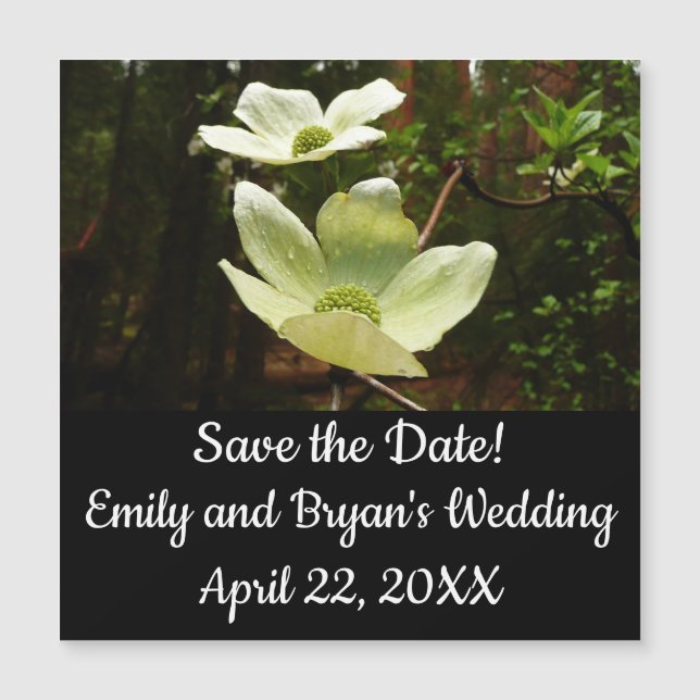 Florestas e Sequoias no Parque Nacional de Yosemit (Frente)