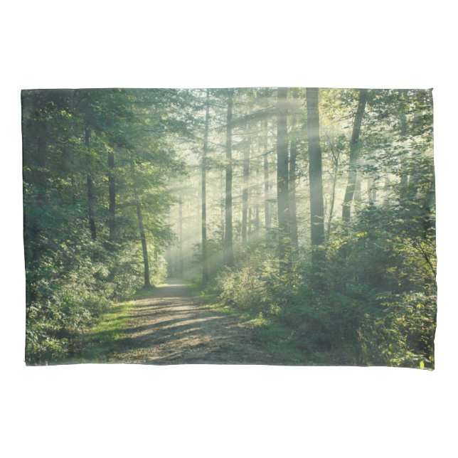 Florestas | Forest Path Hamburg Alemanha (Frente)