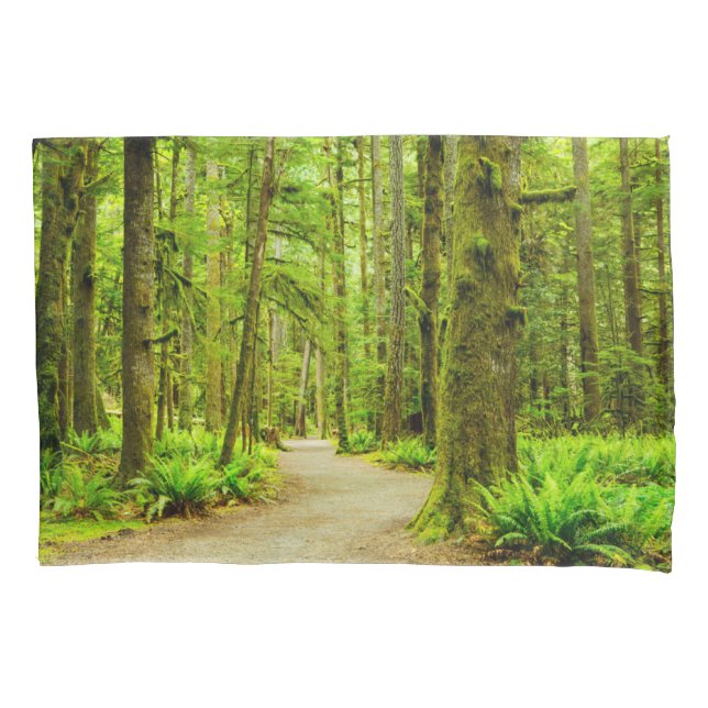 Florestas | Parque Nacional da Olimpiadas (Frente)