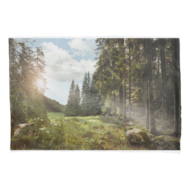 Florestas | Sun Peeking Thru (Frente)