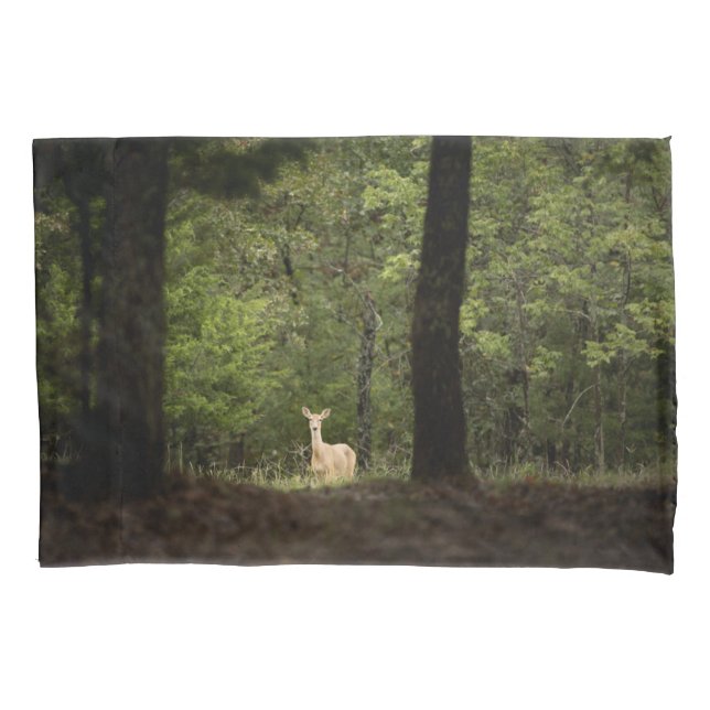 Florestas | Veado branco na floresta (Frente)