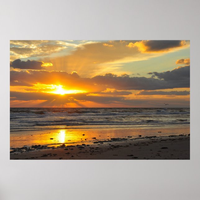 Flórida Beach Scenic Sunrise Poster (Frente)
