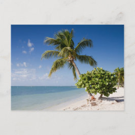 Flórida - Cartão postal da praia Sombrero