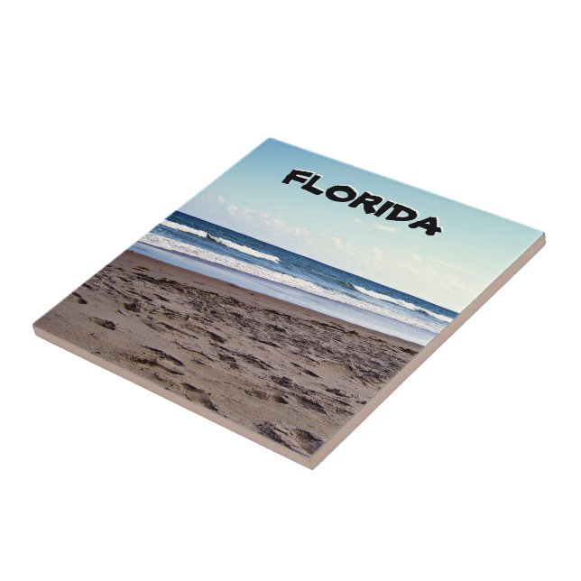 Florida Coastal Shoreline Beach Scene (Lateral)