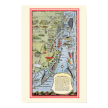 Florida Fish 12x18 Poster