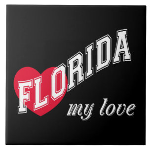 Florida meu amor
