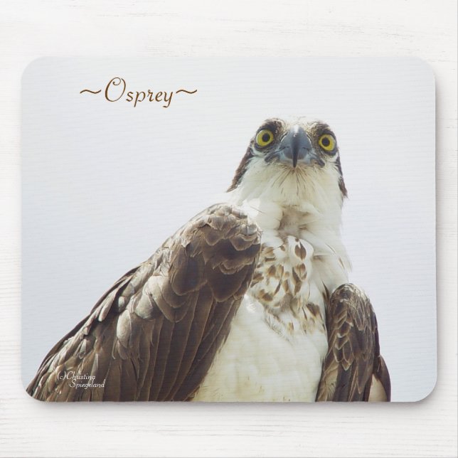 Flórida Osprey Mousepad (Frente)