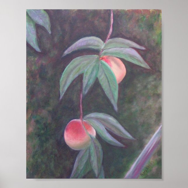 FLORIDA PEACHES Poster (Frente)