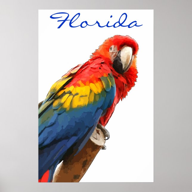 Flórida Scarlet Macaw Poster (Frente)