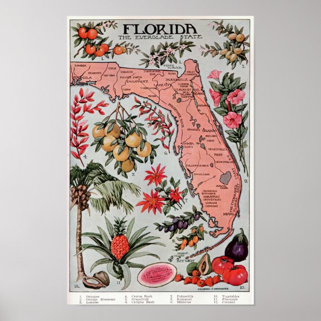 Florida The Everglade State ,Travel Poster (Frente)
