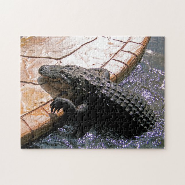 Floridian Alligator, Quebra-cabeça de serra (Horizontal)